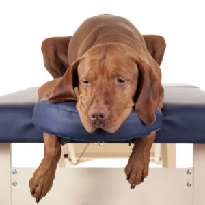 Physiotherapie ca. 30 Minuten